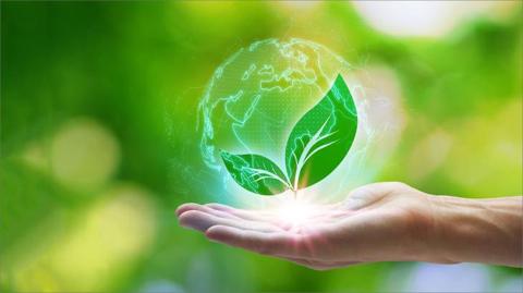 التنمية المستدامة: دور الشركات في الحفاظ على