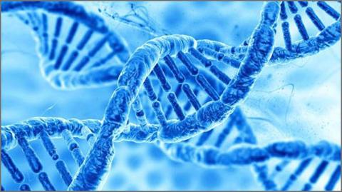 الهندسة الوراثية: مزاياها وعيوبها واعتباراتها